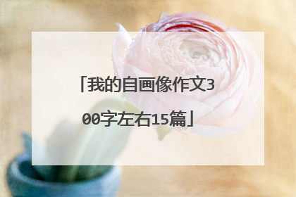 我的自画像作文300字左右15篇