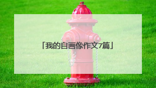 我的自画像作文7篇