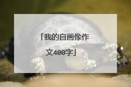 我的自画像作文400字