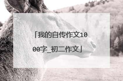 我的自传作文1000字_初二作文