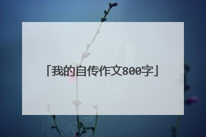 我的自传作文800字