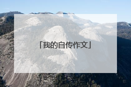 我的自传作文