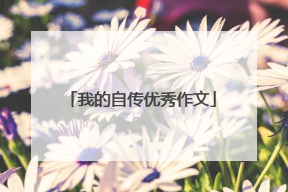 我的自传优秀作文