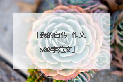 我的自传 作文600字范文
