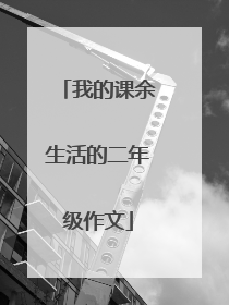 我的课余生活的二年级作文
