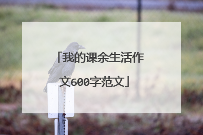 我的课余生活作文600字范文