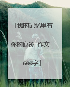 我的记忆里有你的痕迹 作文 600字