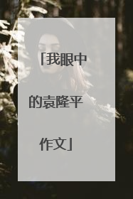 我眼中的袁隆平作文