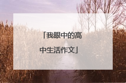 我眼中的高中生活作文