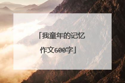 我童年的记忆作文600字