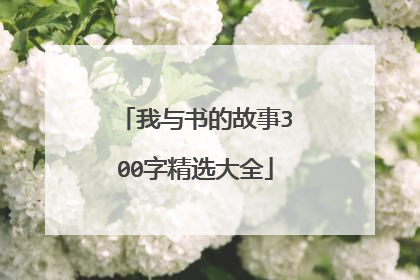 我与书的故事300字精选大全