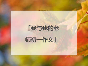 我与我的老师初一作文