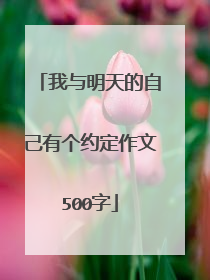 我与明天的自己有个约定作文500字