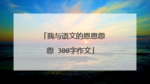 我与语文的恩恩怨怨 300字作文