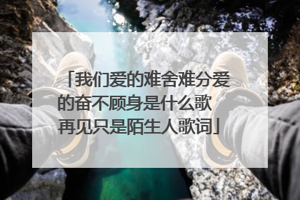 我们爱的难舍难分爱的奋不顾身是什么歌 再见只是陌生人歌词