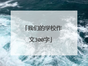 我们的学校作文300字