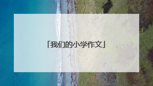 我们的小学作文