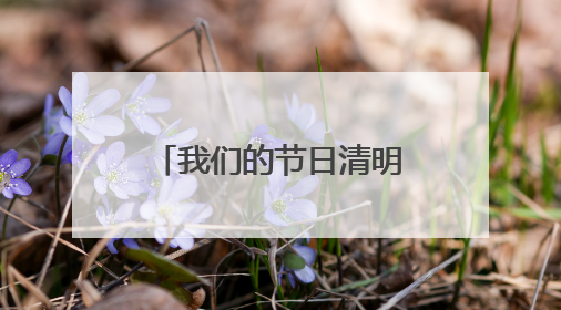 我们的节日清明500字作文