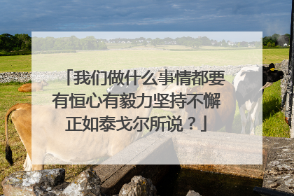 我们做什么事情都要有恒心有毅力坚持不懈正如泰戈尔所说？