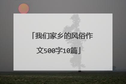 我们家乡的风俗作文500字10篇