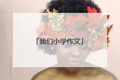 我们小学作文