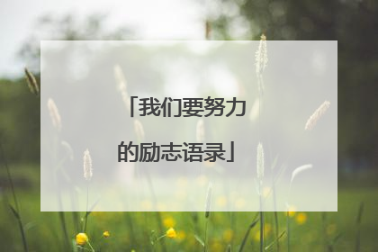 我们要努力的励志语录