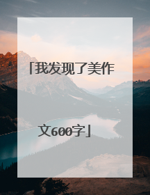 我发现了美作文600字
