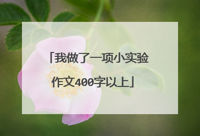 我做了一项小实验作文400字以上