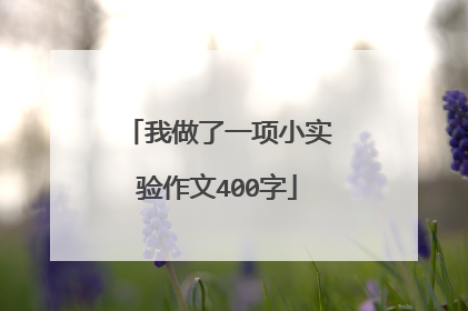 我做了一项小实验作文400字
