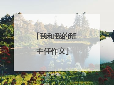 我和我的班主任作文