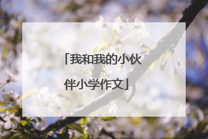 我和我的小伙伴小学作文