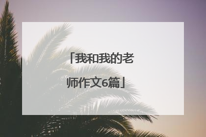 我和我的老师作文6篇