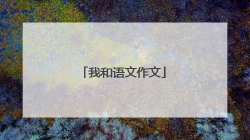 我和语文作文