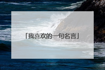我喜欢的一句名言