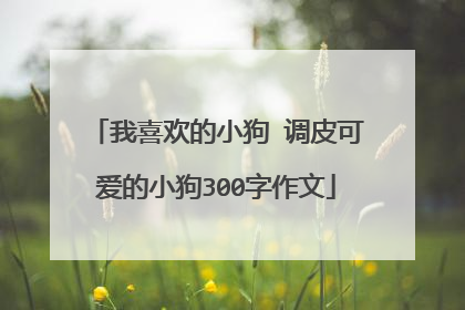 我喜欢的小狗 调皮可爱的小狗300字作文