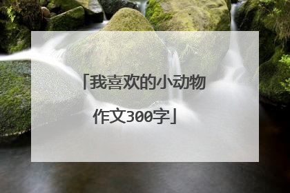 我喜欢的小动物作文300字