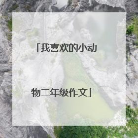 我喜欢的小动物二年级作文