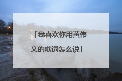 我喜欢你用黄伟文的歌词怎么说