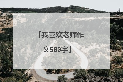 我喜欢老师作文500字
