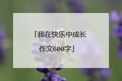 我在快乐中成长作文600字