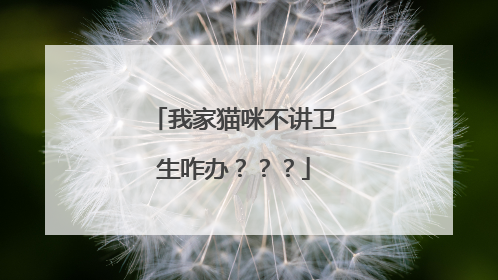 我家猫咪不讲卫生咋办？？？