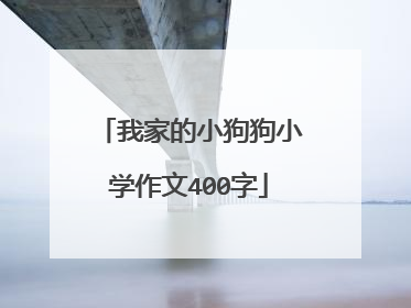 我家的小狗狗小学作文400字