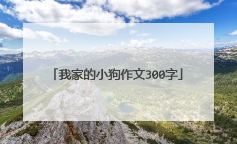 我家的小狗作文300字
