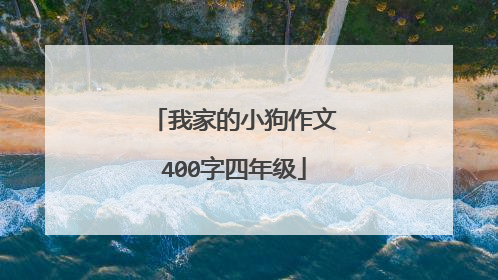 我家的小狗作文400字四年级