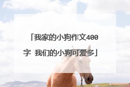 我家的小狗作文400字 我们的小狗可爱多