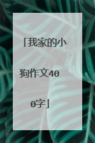 我家的小狗作文400字