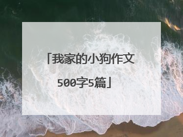 我家的小狗作文500字5篇