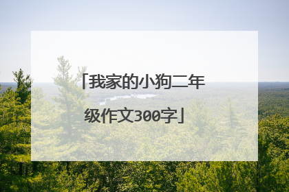 我家的小狗二年级作文300字