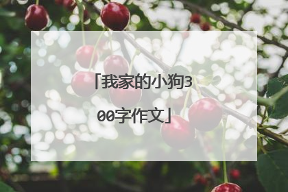 我家的小狗300字作文