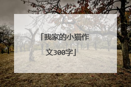 我家的小猫作文300字